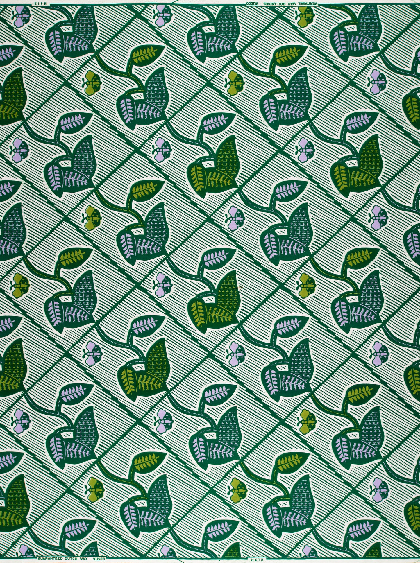 Wax Hollandais | VL0H612.010