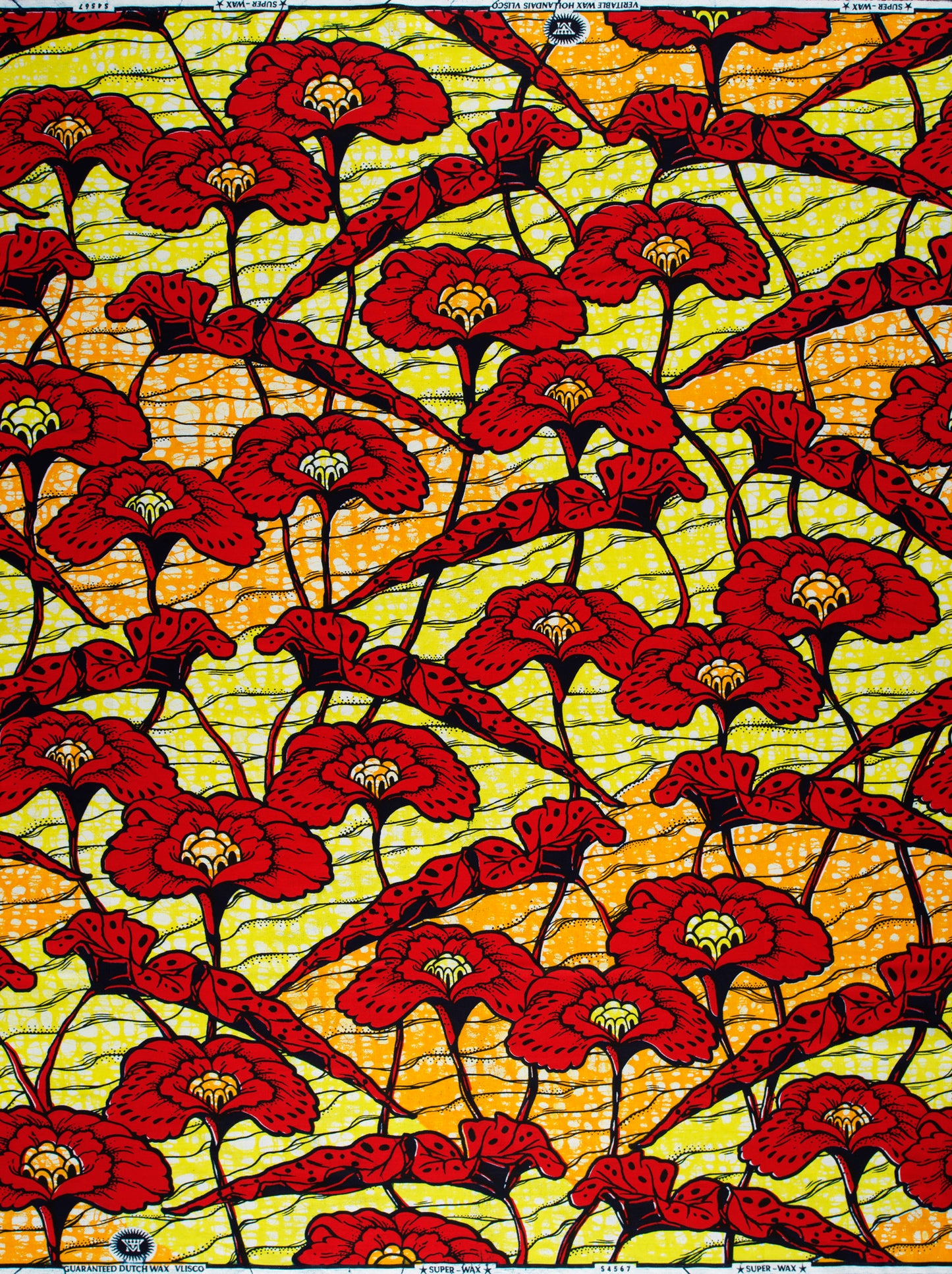 Super-Wax | VLS6225.011 | Gold Embellished