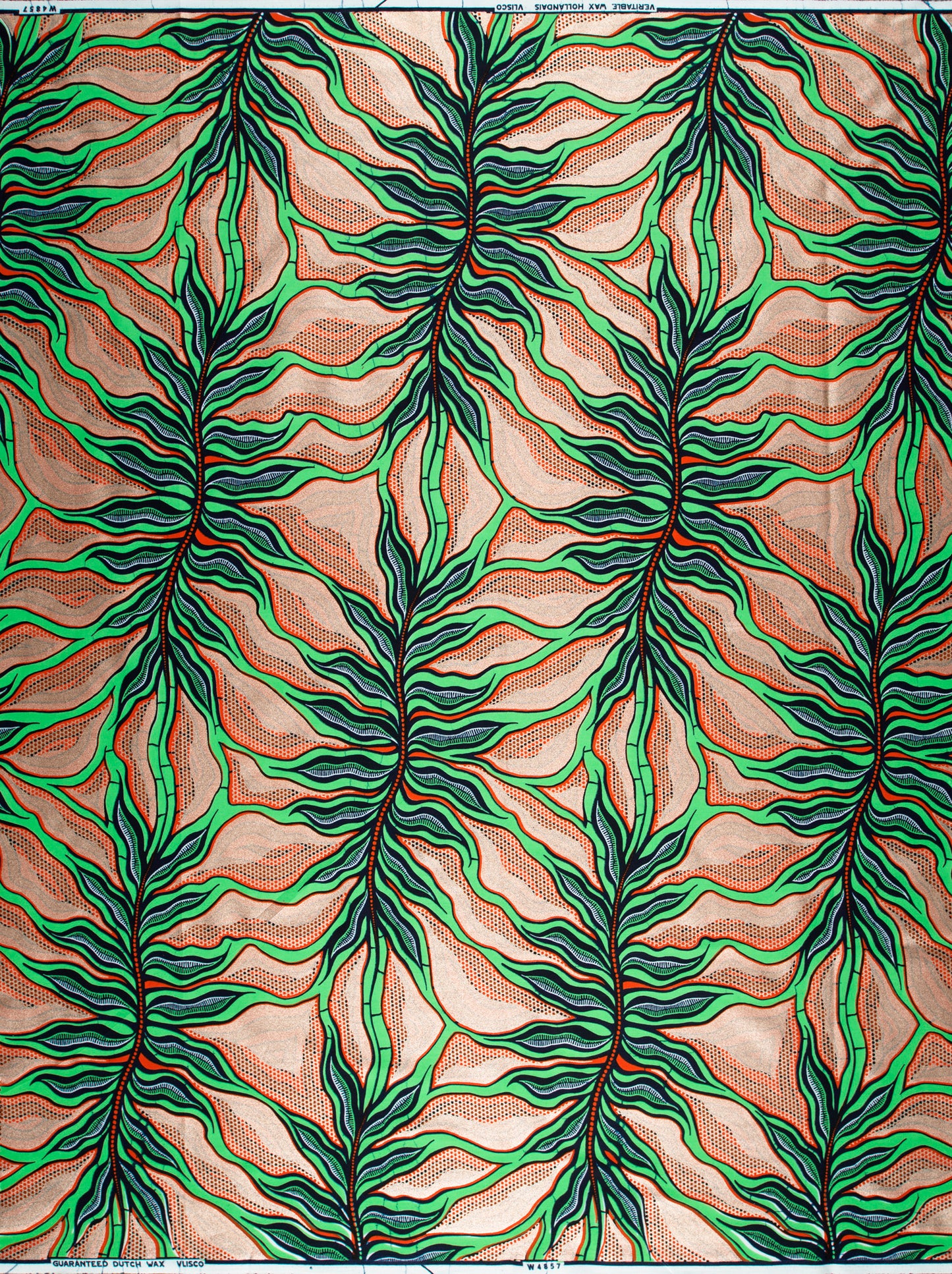 Wax Hollandais | VLW4857.025 | Rose Gold Embellished