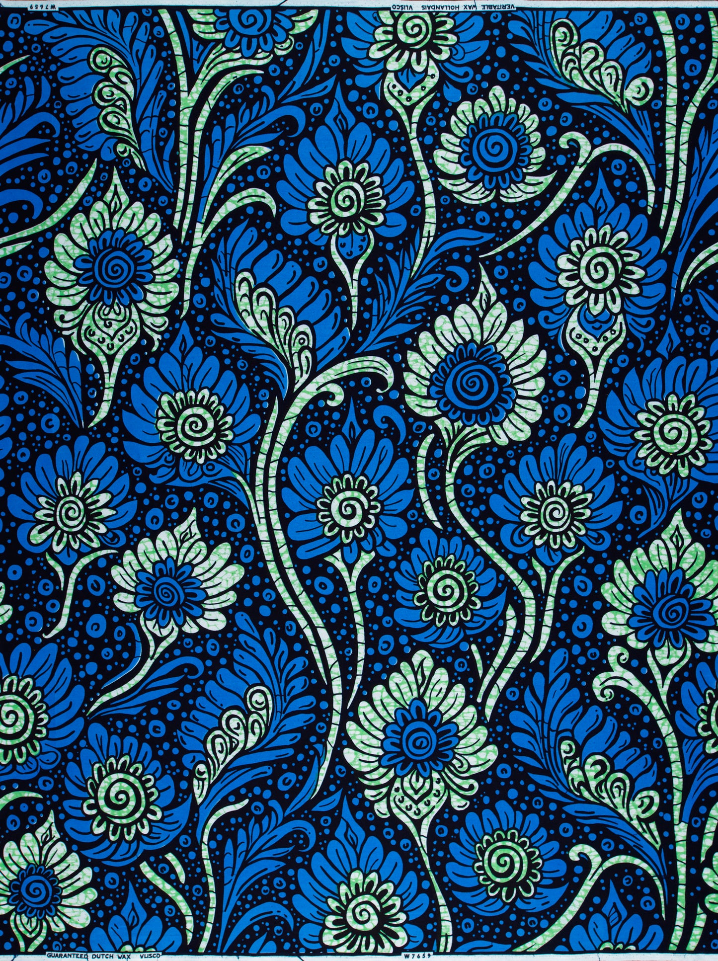 Wax Hollandais | VLW7659.001