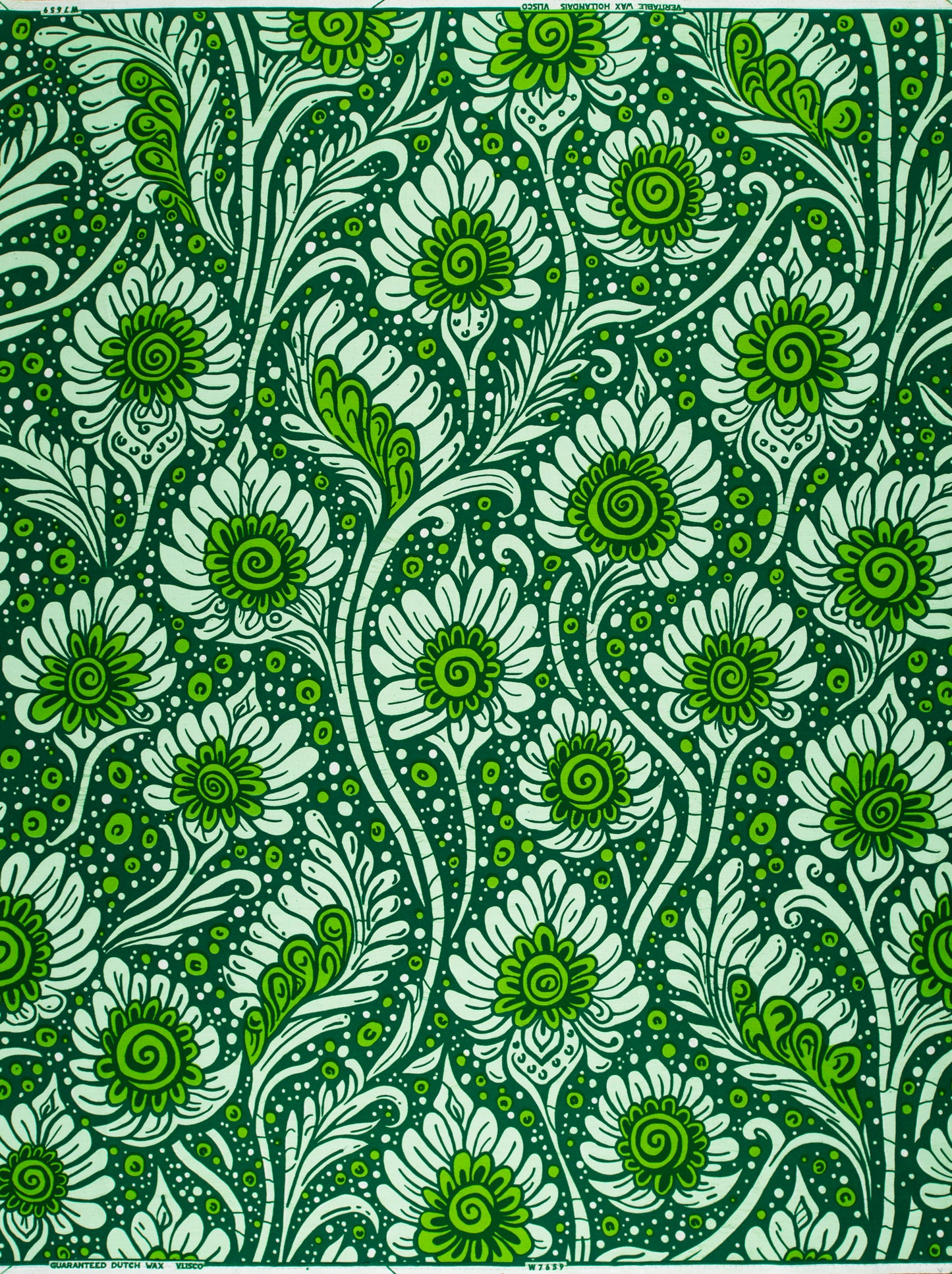 Wax Hollandais | VLW7659.005