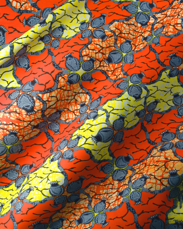 Super-Wax | VL02921.271 | Oignon