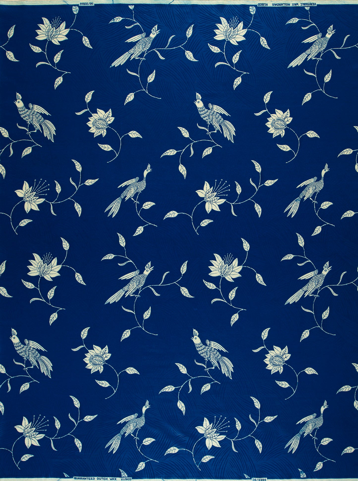 Wax Hollandais | VL03366.020