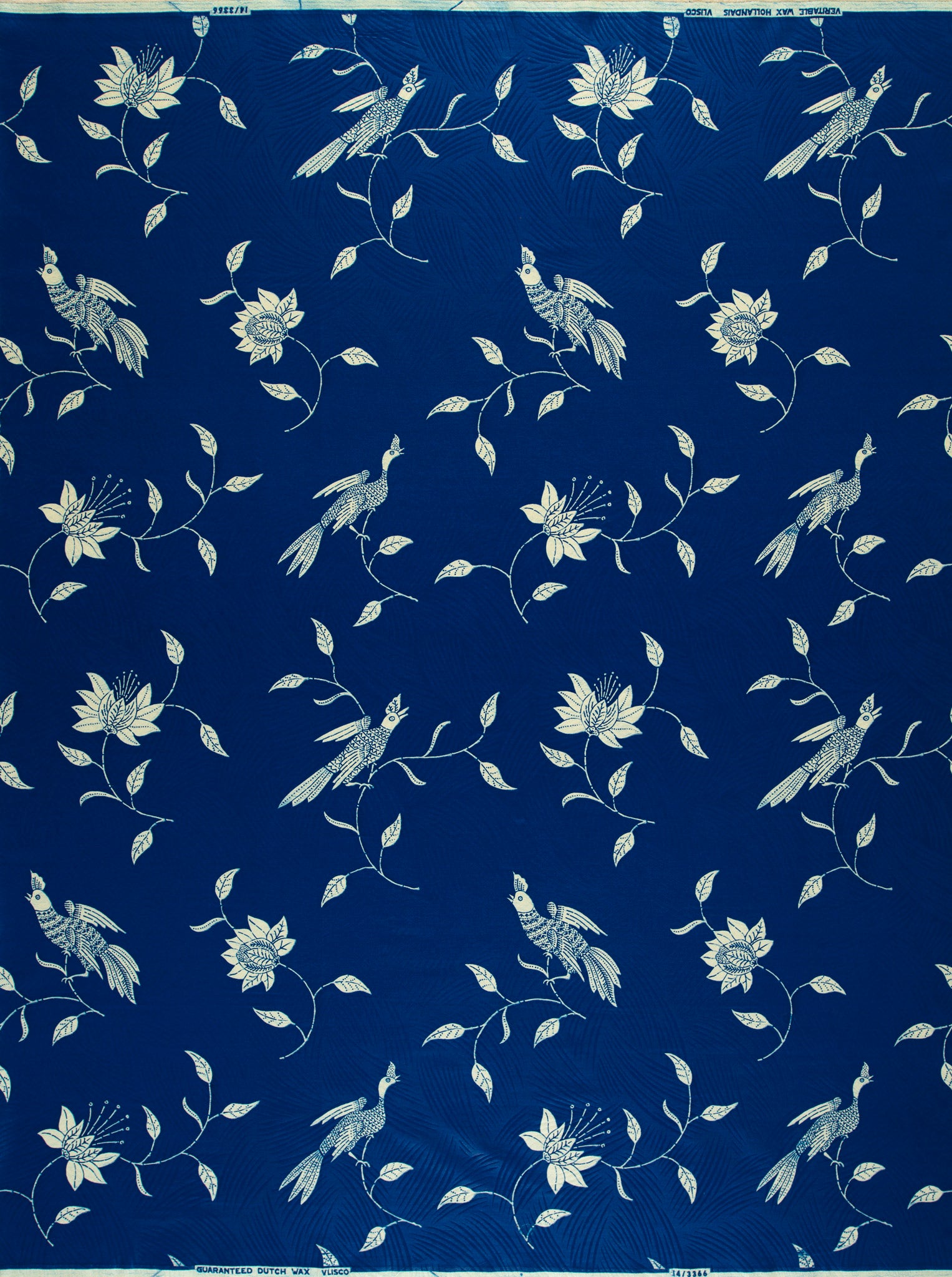 Wax Hollandais | VL03366.020