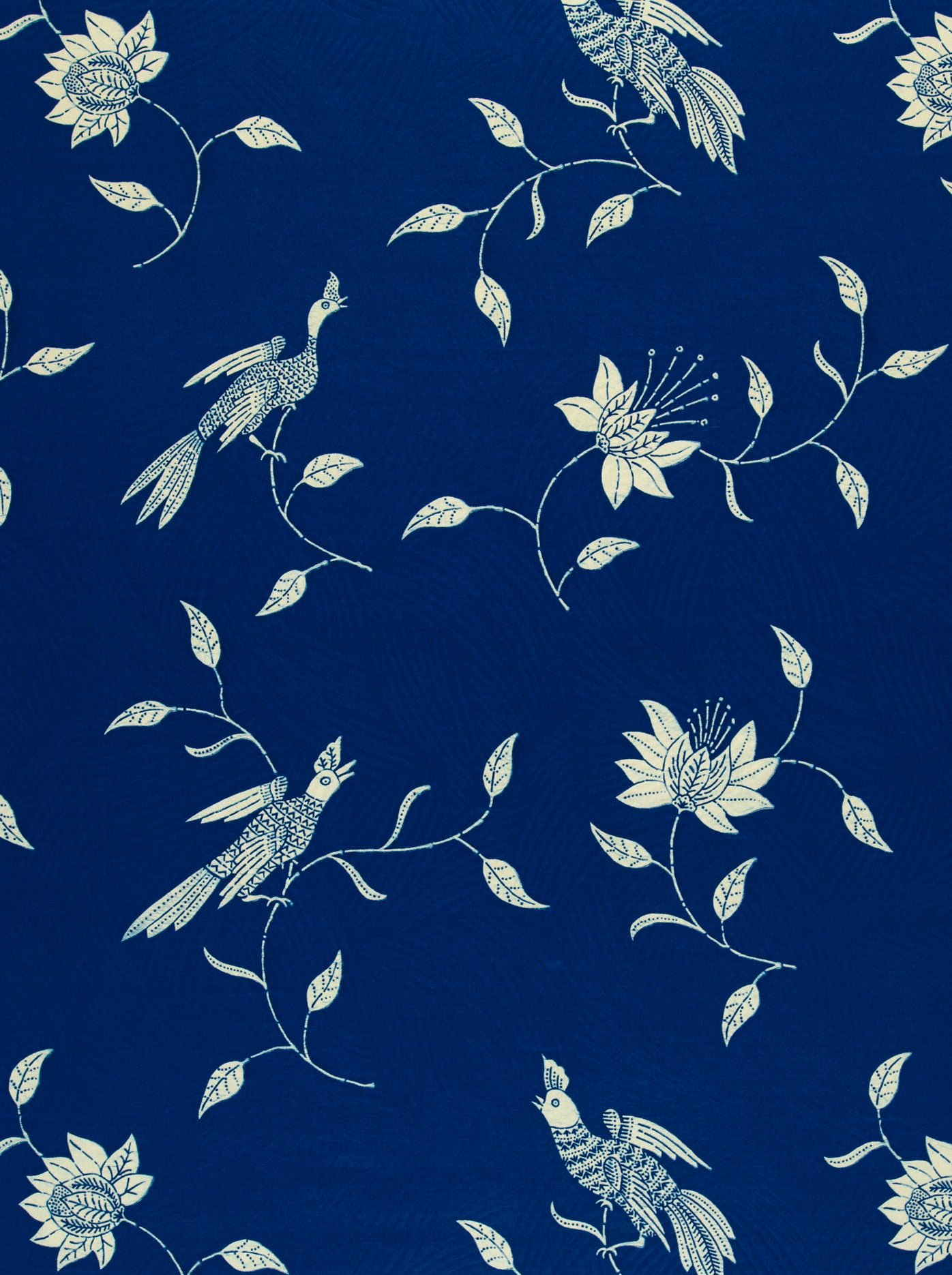 Wax Hollandais | VL03366.020