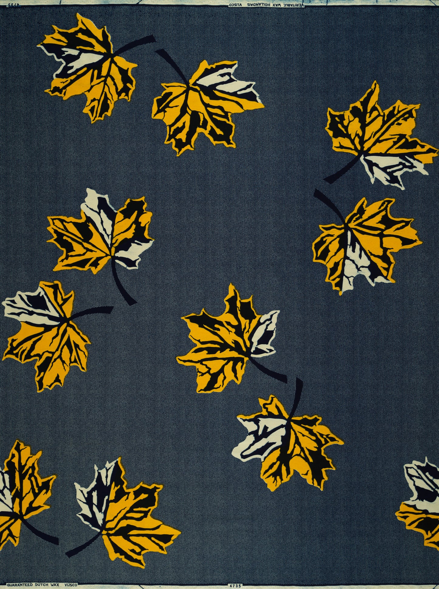 Wax Hollandais | VL04735.087