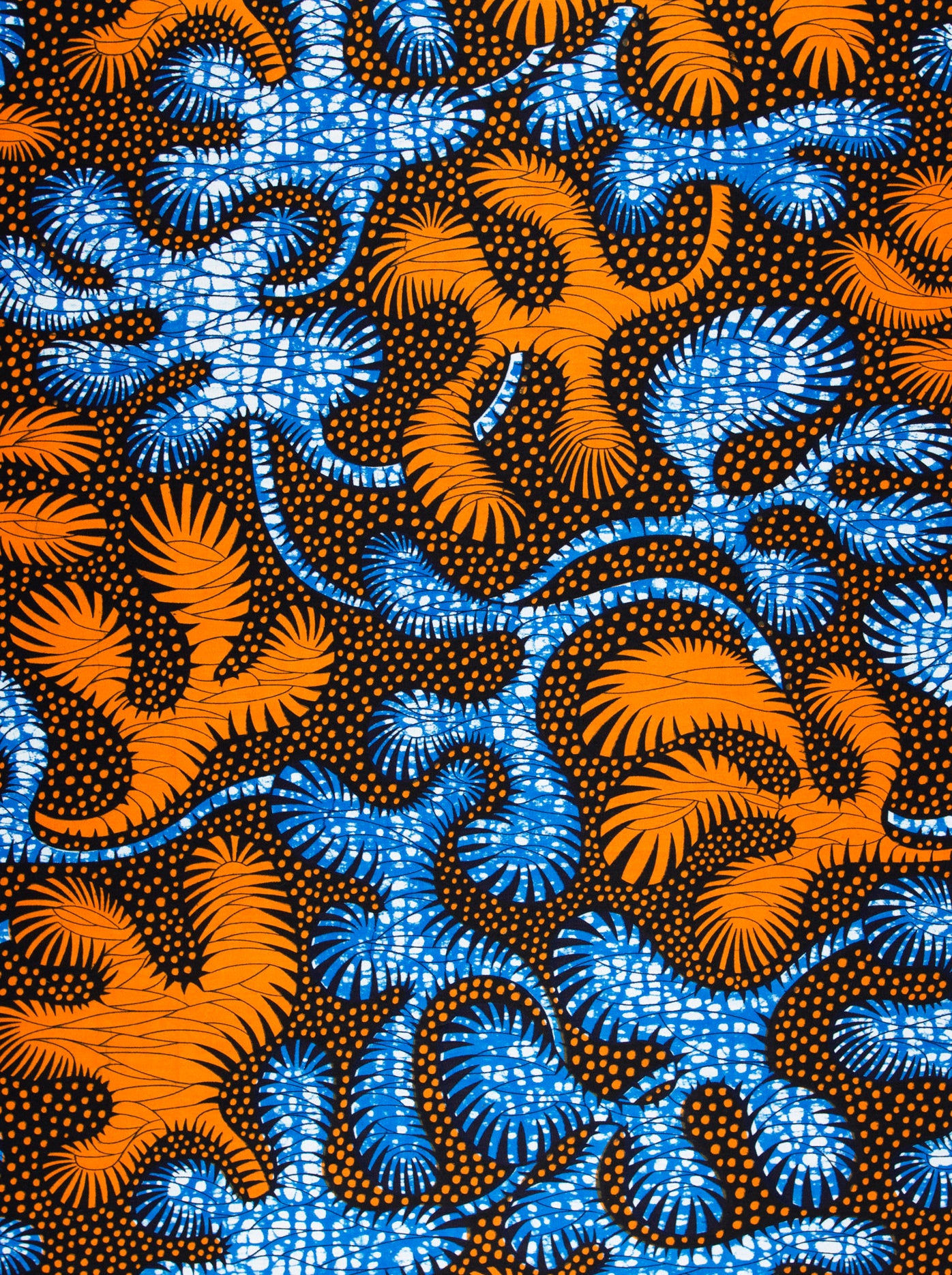 Wax Hollandais | VLA2070.046