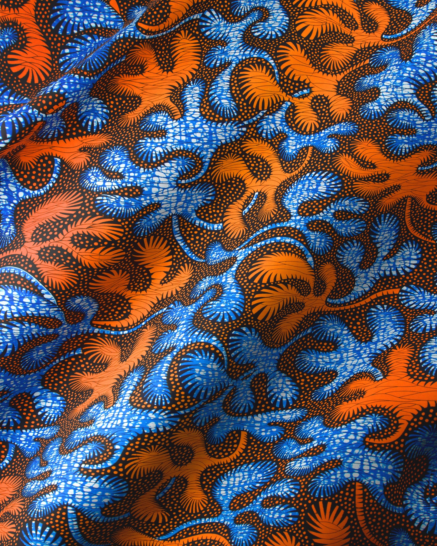 Wax Hollandais | VLA2070.046