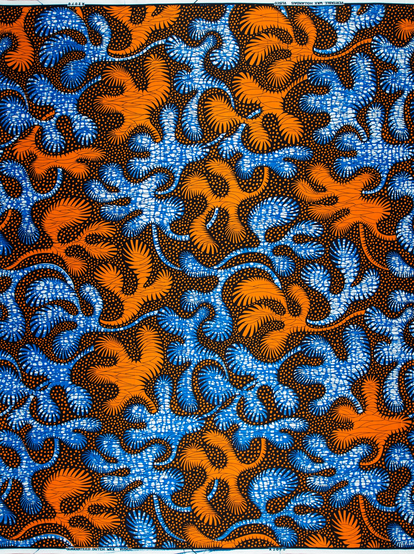 Wax Hollandais | VLA2070.046