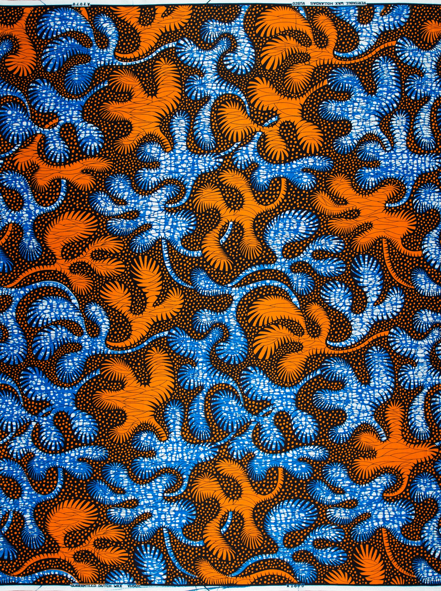 Wax Hollandais | VLA2070.046