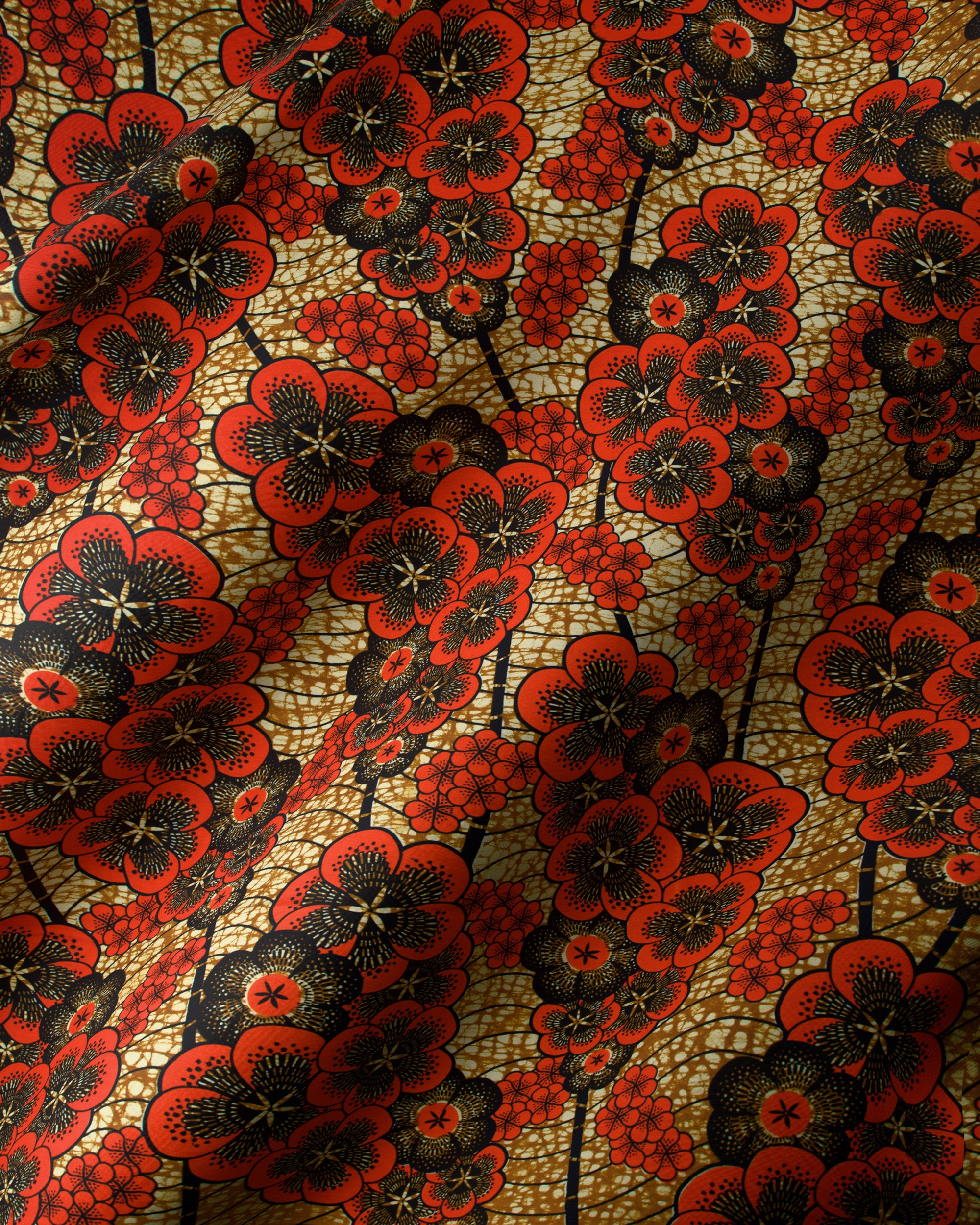 Wax Hollandais | VLW1293.005