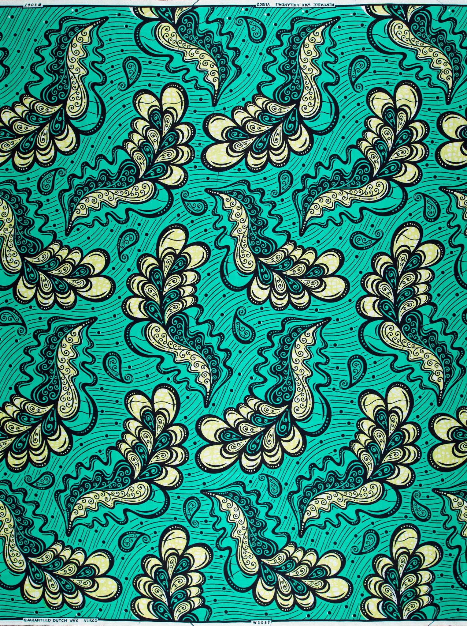 Wax Hollandais | VLW3067.012