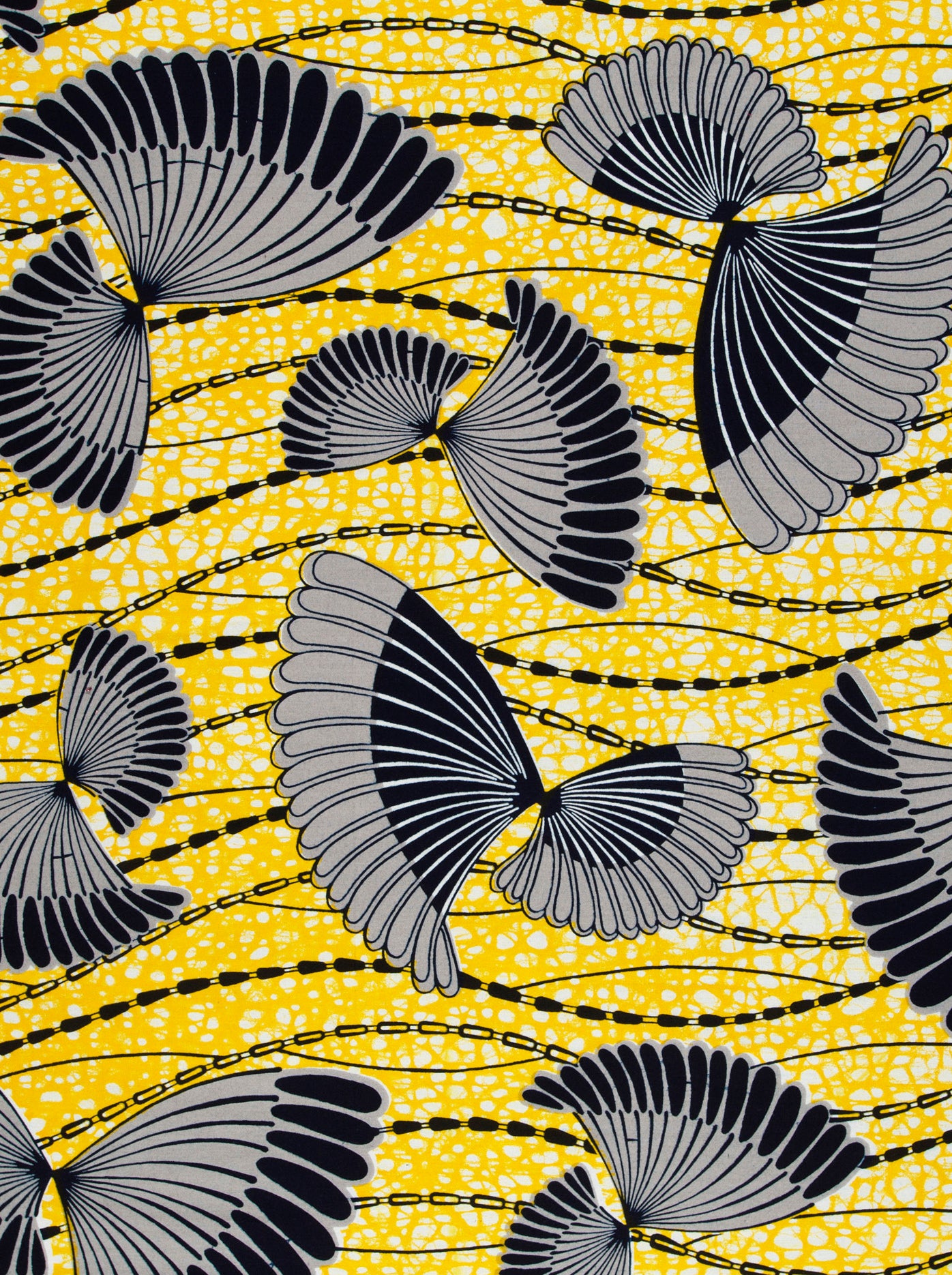 Wax Hollandais | VLW5154.004