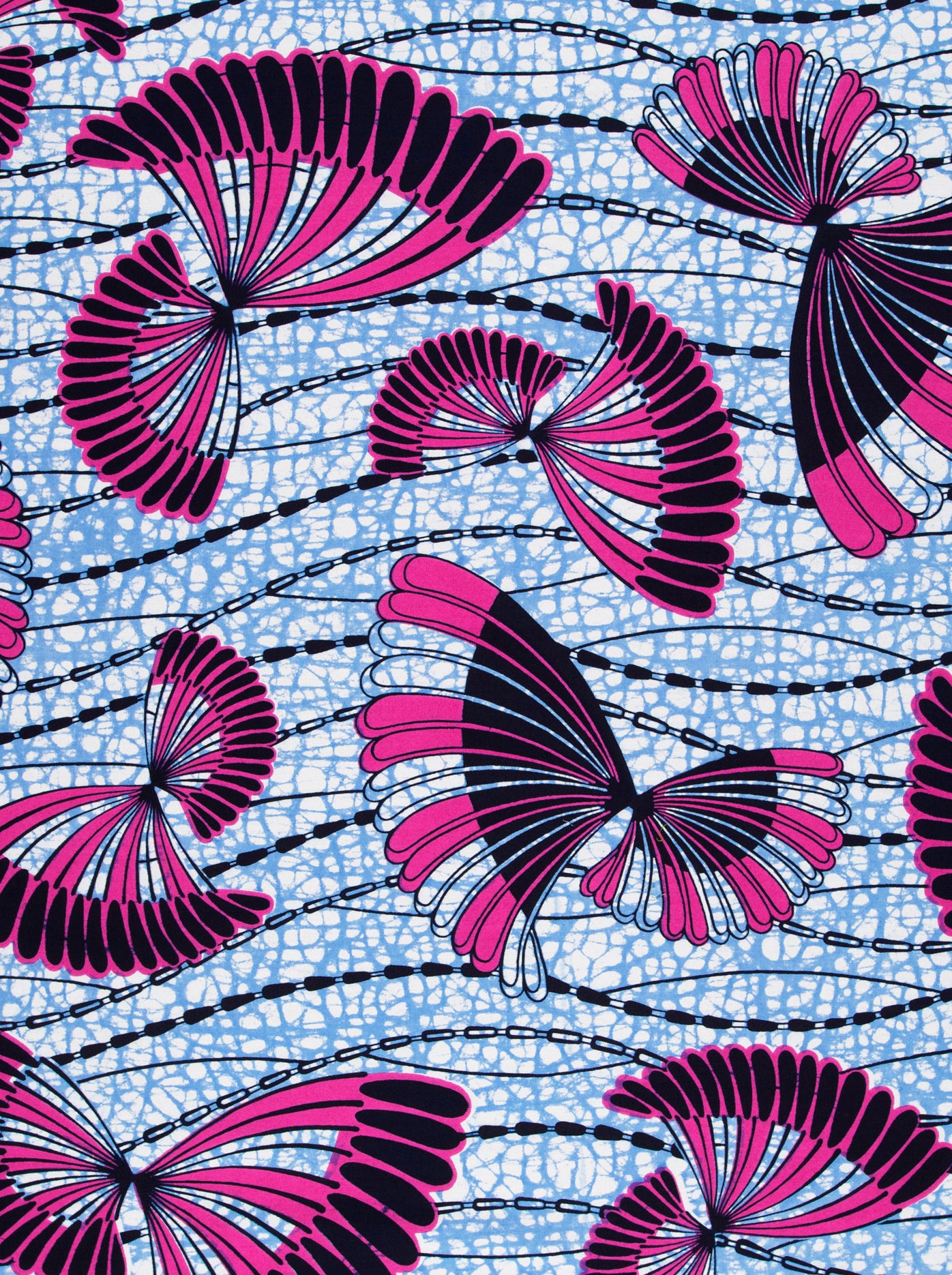 Wax Hollandais | VLW5154.009