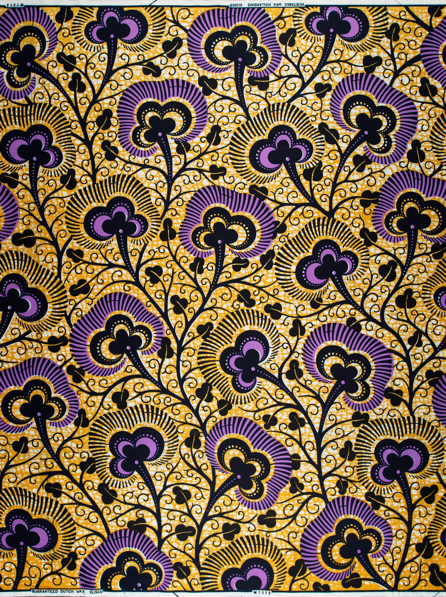 Wax Hollandais | VLW7374.012