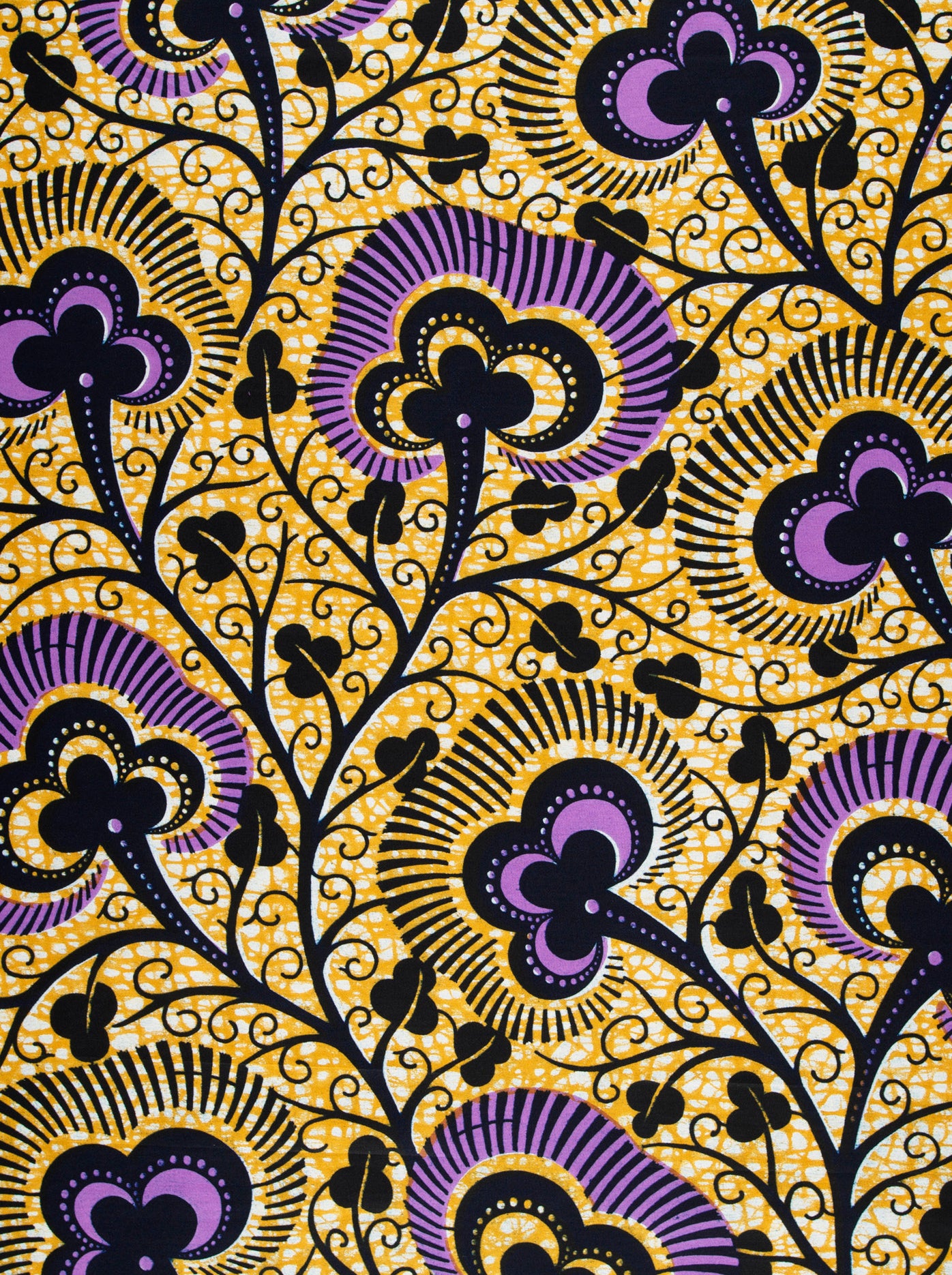 Wax Hollandais | VLW7374.012