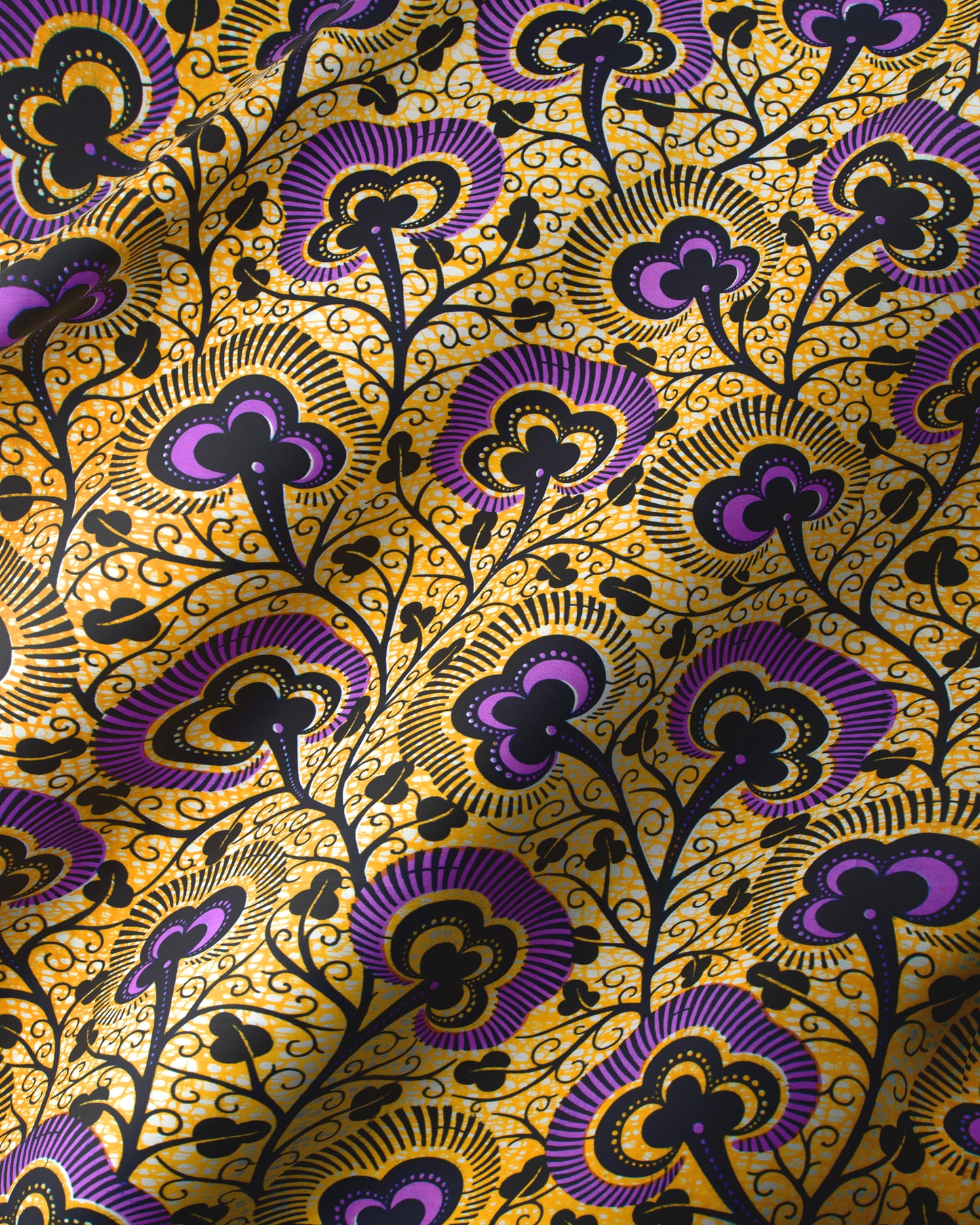 Wax Hollandais | VLW7374.012