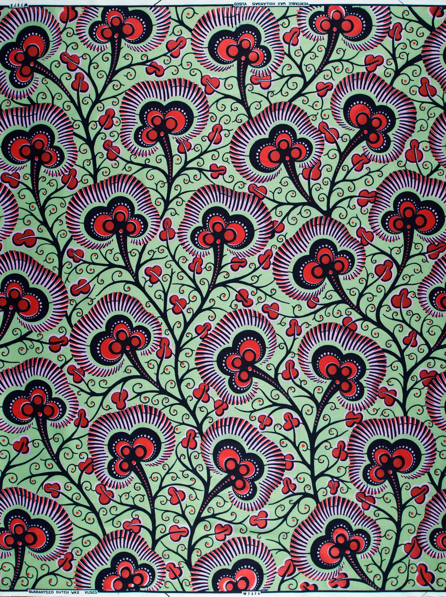 Wax Hollandais | VLW7374.014