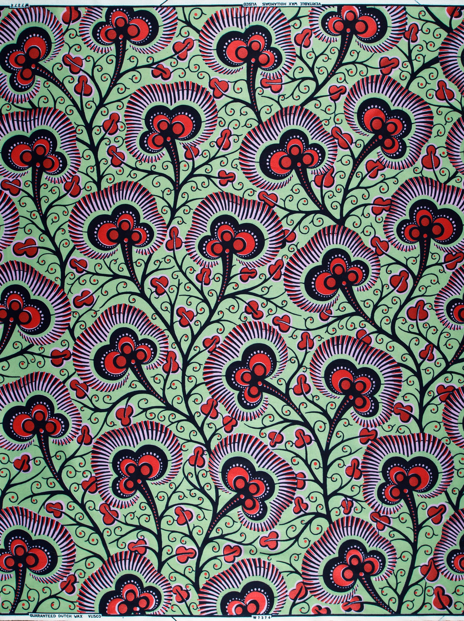 Wax Hollandais | VLW7374.014