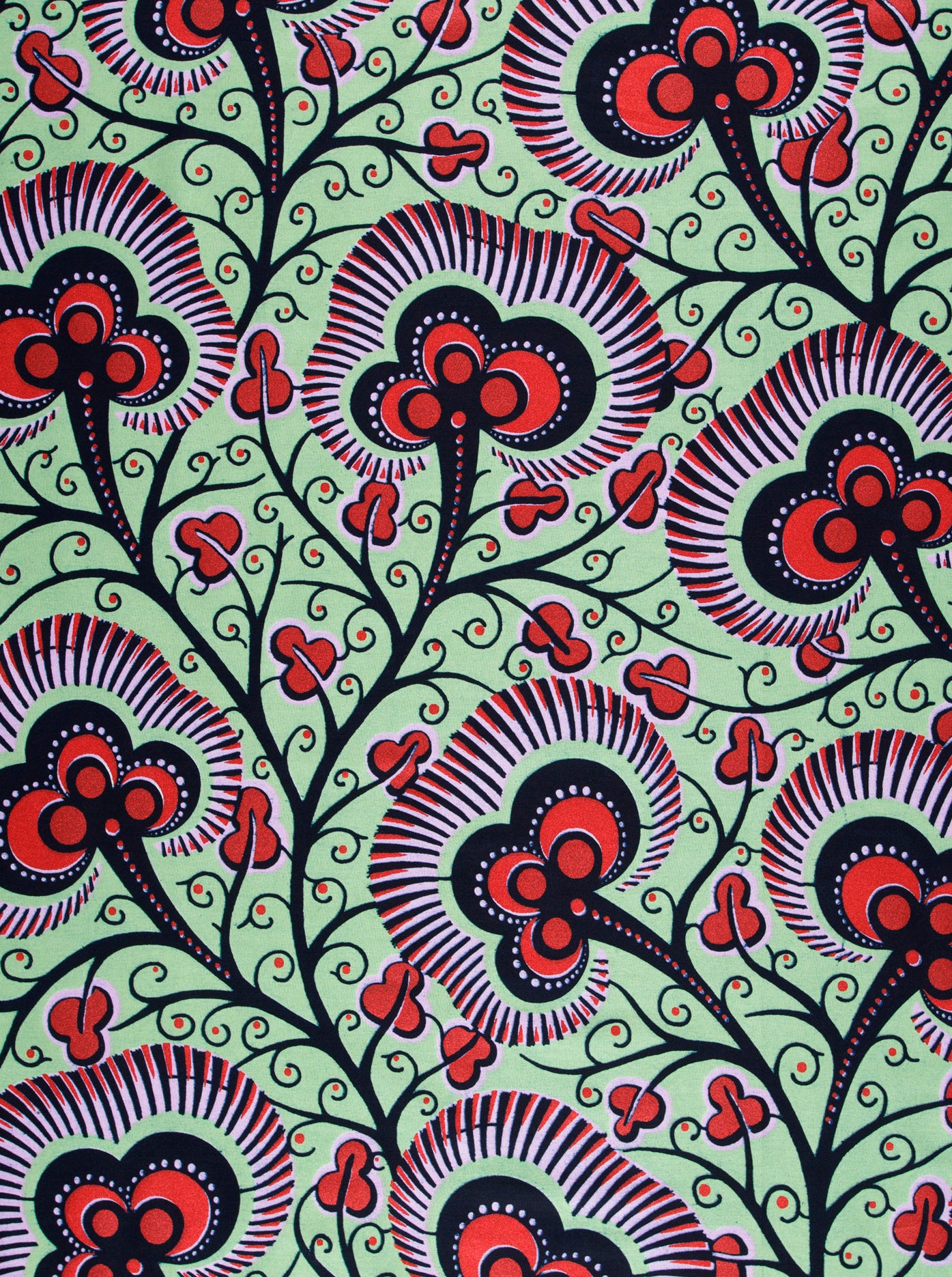 Wax Hollandais | VLW7374.014