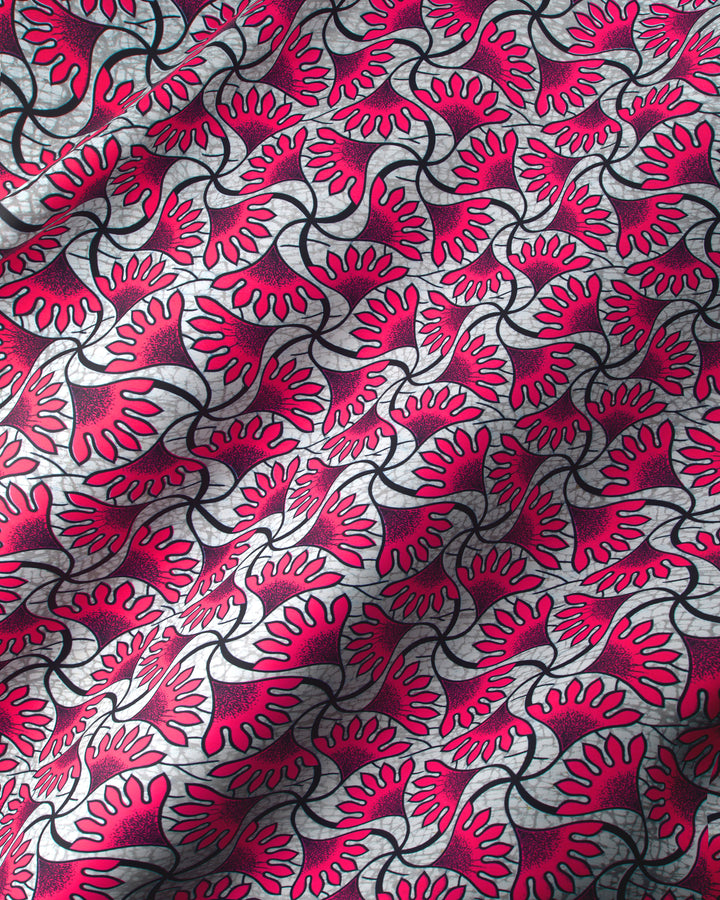 Wax Hollandais | VLW8243.013